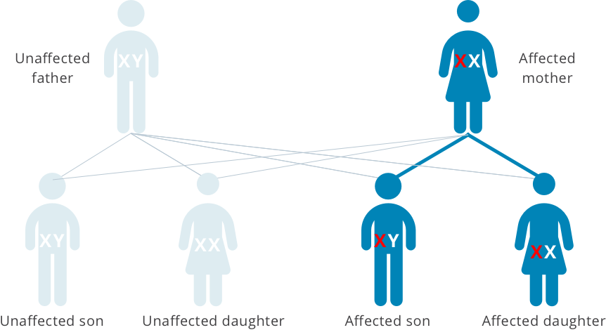 Fabry Disease Inheritance | From Mothers